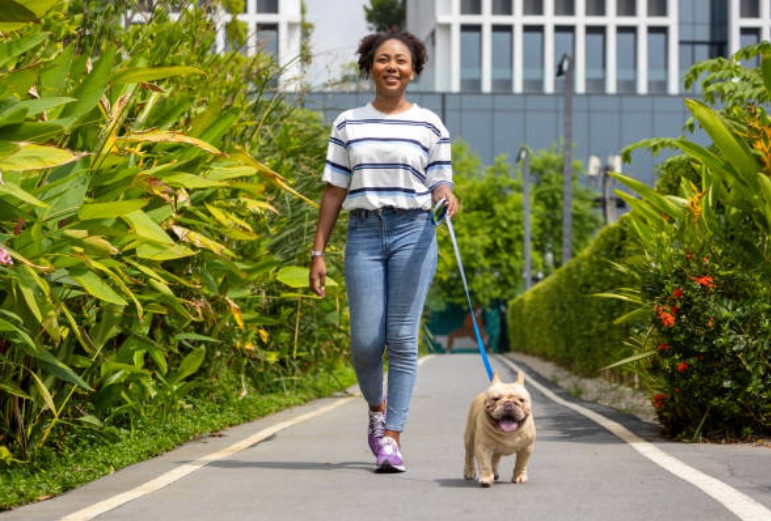 Average Dog Walking Price Per Hour