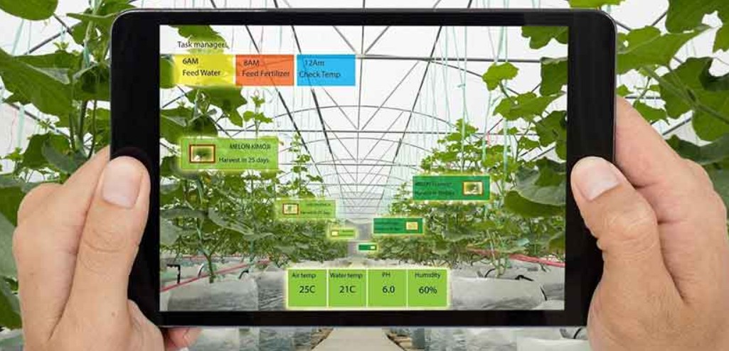 Augmented Reality Experiences