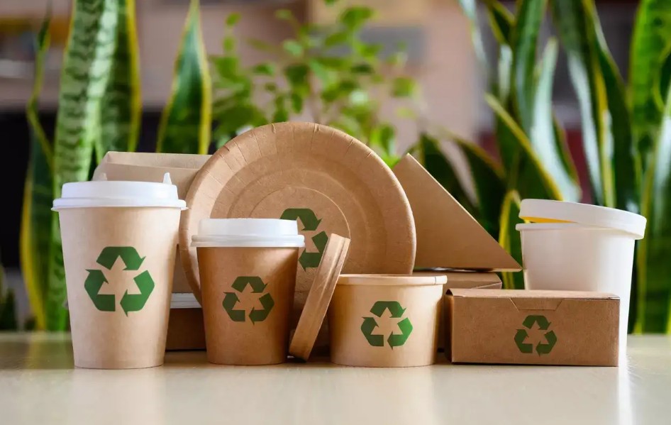 Eco-Friendly Packaging Solutions