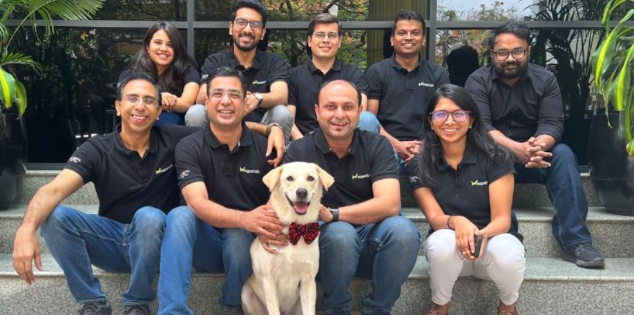 Pet Services for Urban Dwellers