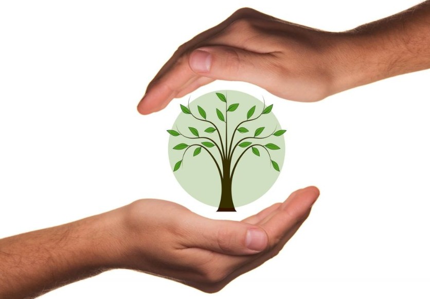 Tree Preservation Orders (TPOs)