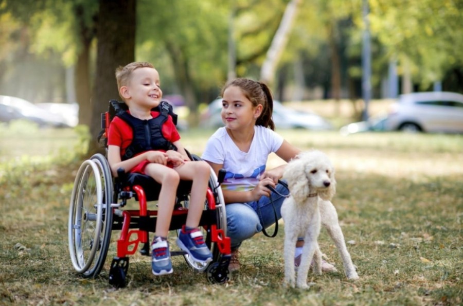 Who Is Entitled to Disability Living Allowance