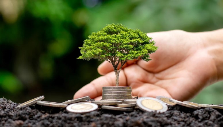 Can I Take a Tax-Free Lump Sum