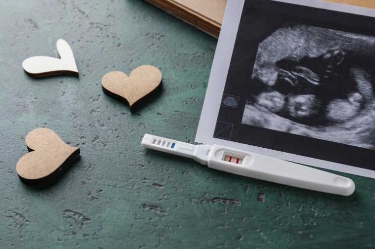 Maternity Allowance Calculator