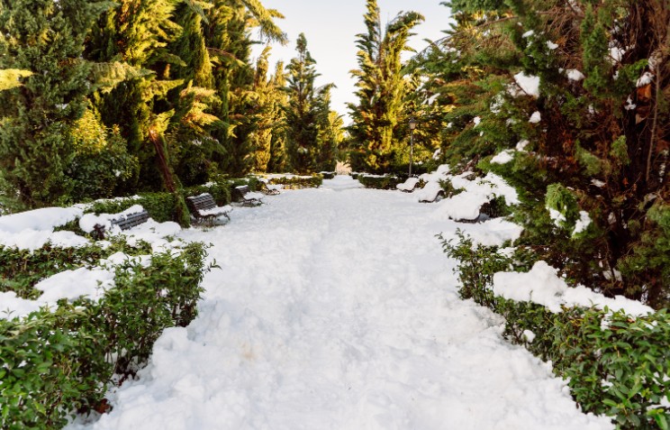 Snow Warning Issued for Southern England as Freezing Temperatures Forecast.