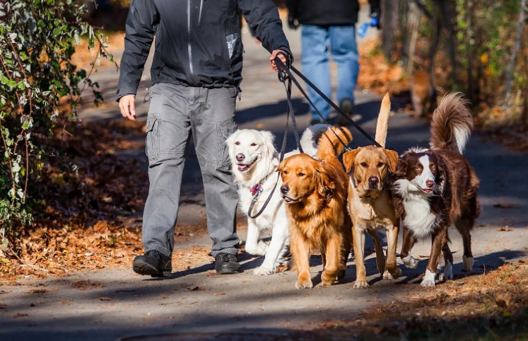 Manage Your Business and Plan for Growth